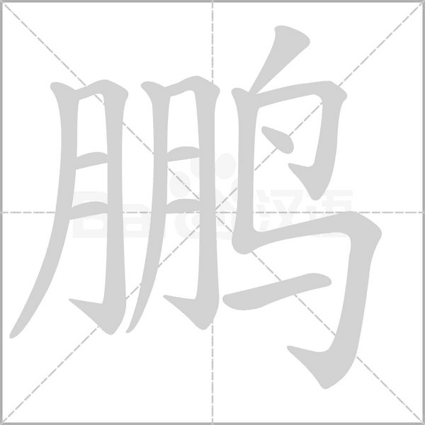 鹏字笔顺