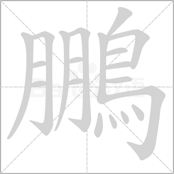 鵬字笔顺