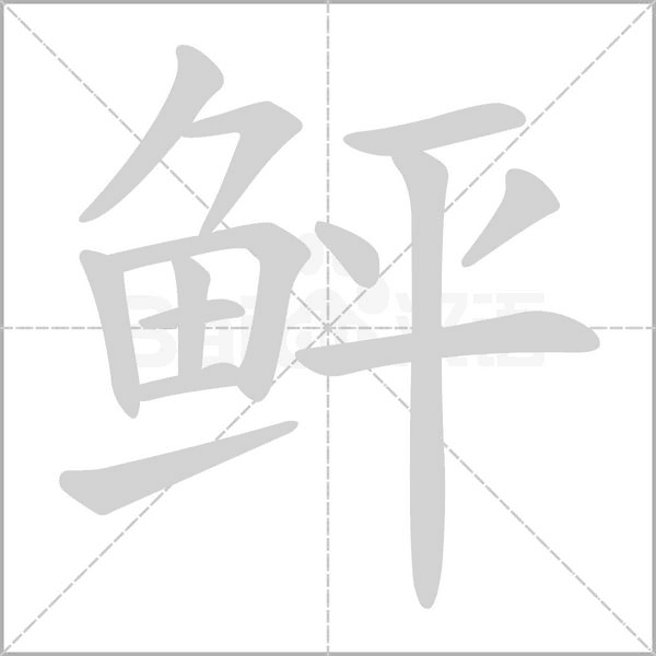 鲆字笔顺