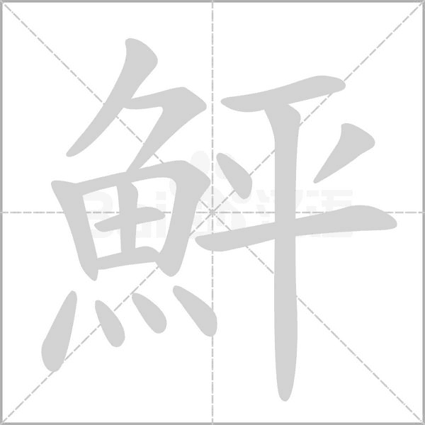 鮃字笔顺