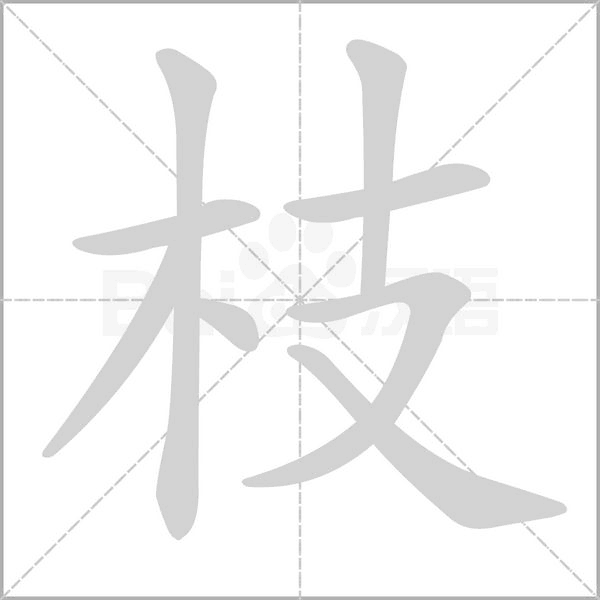 枝字笔顺