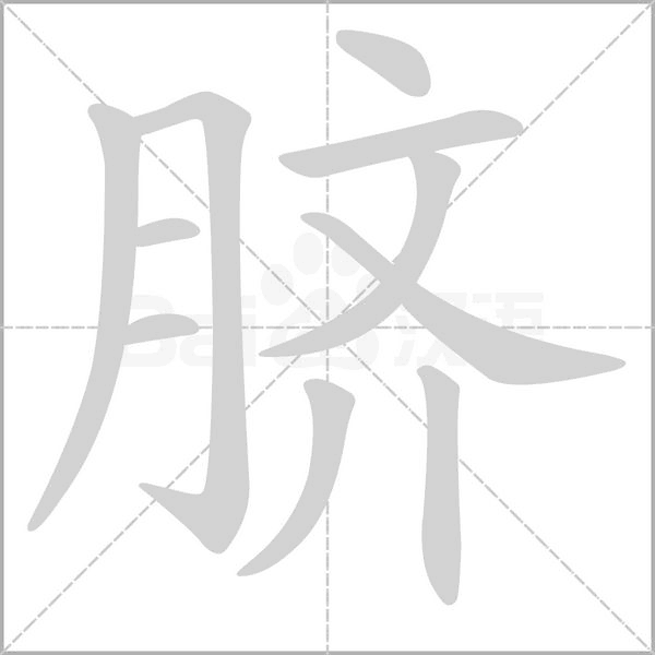 脐字笔顺