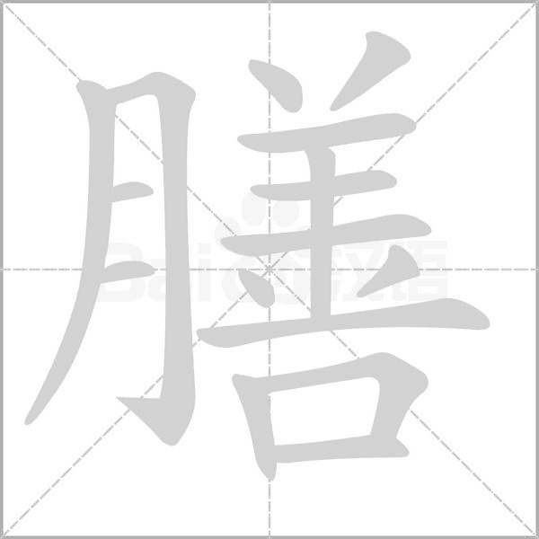膳字笔顺