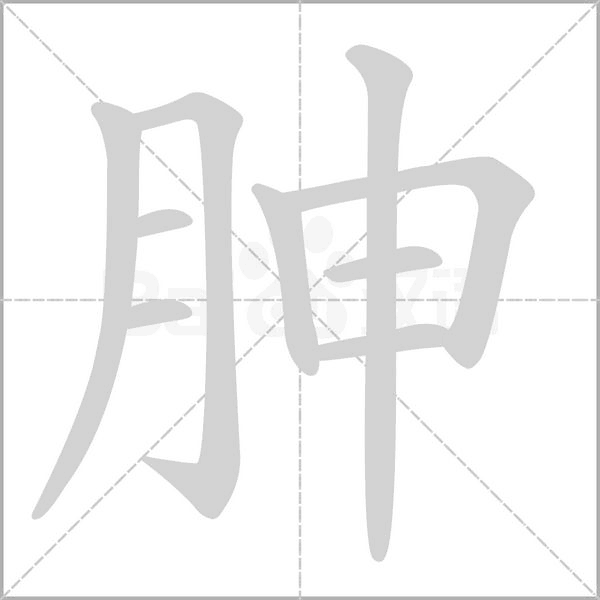 胂字笔顺