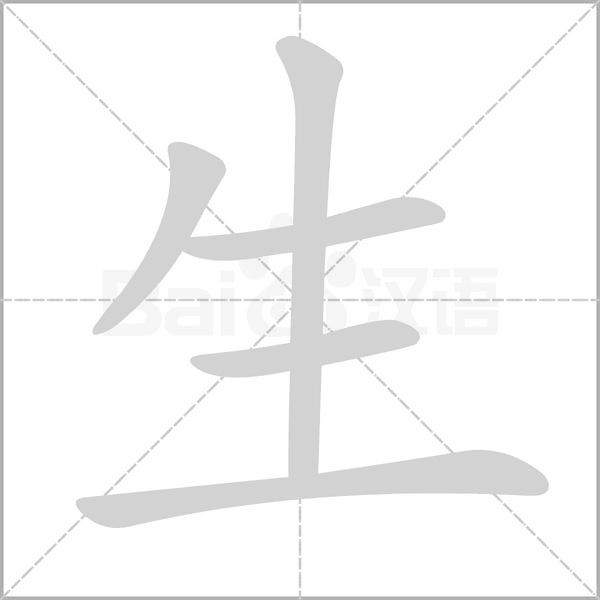 生字笔顺