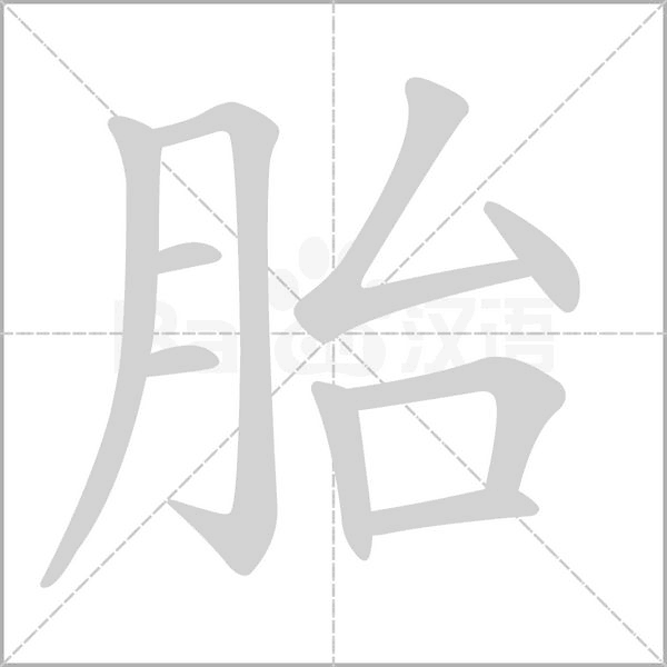 胎字笔顺