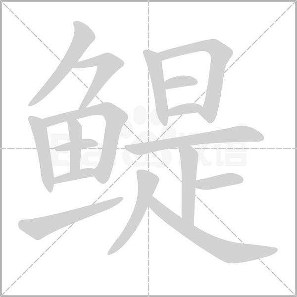 鳀字笔顺
