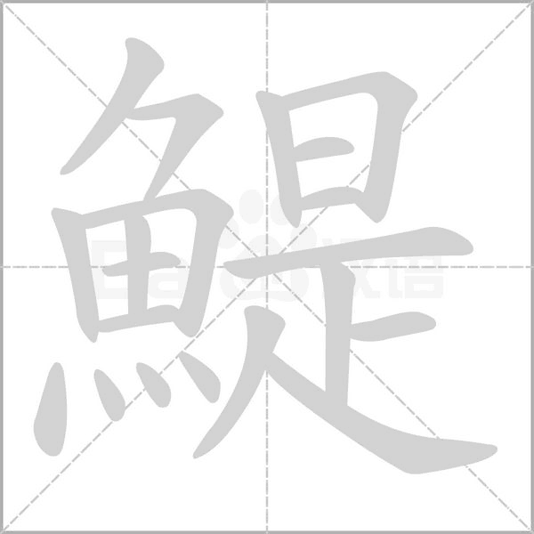 鯷字笔顺