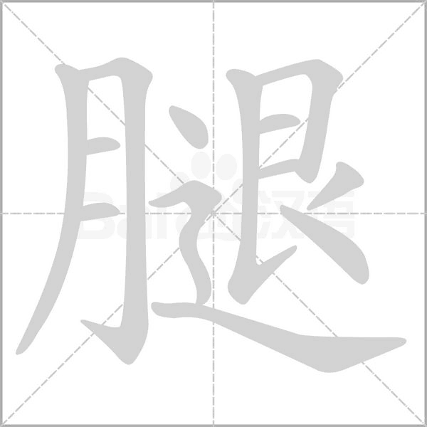 腿字笔顺