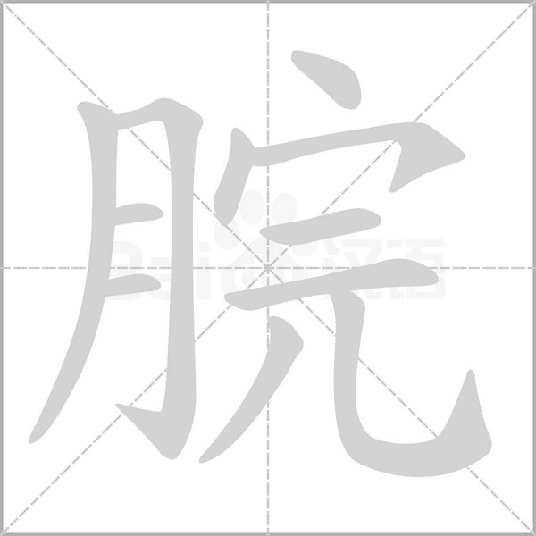 脘字笔顺