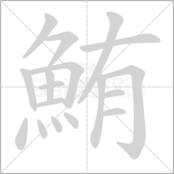 鮪字笔顺